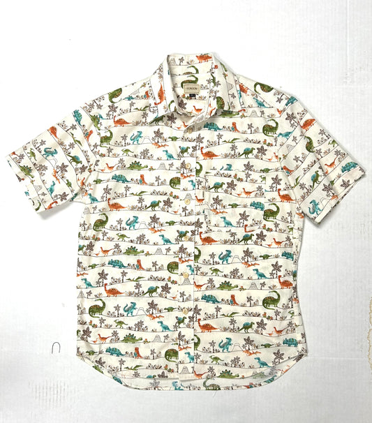 Dinosaurs shirt