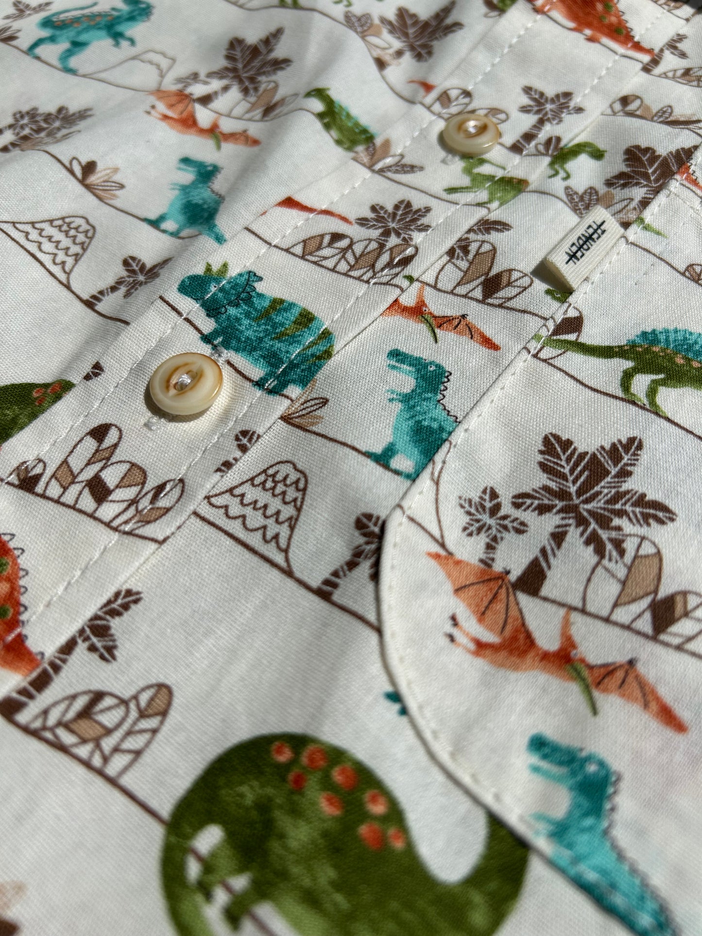 Dinosaurs shirt
